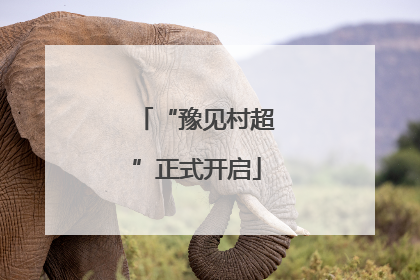 “豫见村超”正式开启