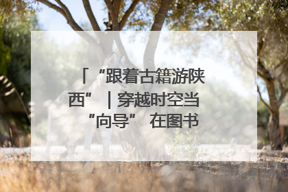 “跟着古籍游陕西”｜穿越时空当“向导” 在图书馆外“活”起来