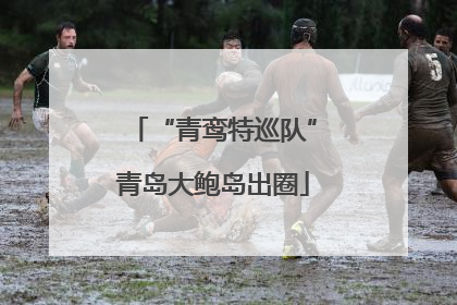 “青鸾特巡队”青岛大鲍岛出圈