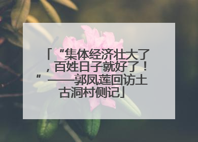 “集体经济壮大了，百姓日子就好了！”——郭凤莲回访土古洞村侧记