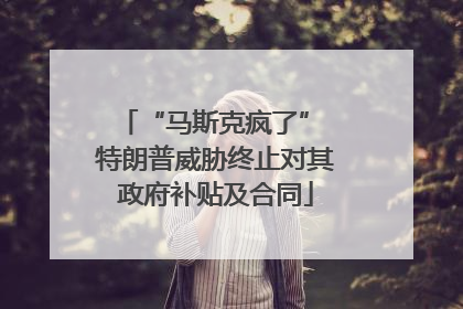 “马斯克疯了” 特朗普威胁终止对其政府补贴及合同