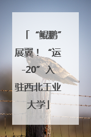 “鲲鹏”展翼！“运-20”入驻西北工业大学