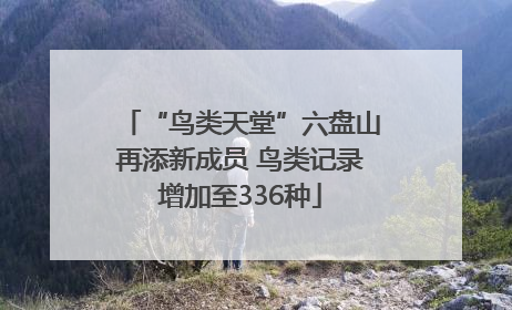 “鸟类天堂”六盘山再添新成员 鸟类记录增加至336种