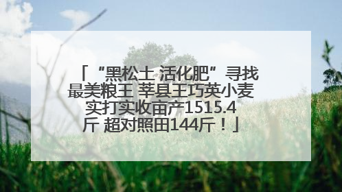 “黑松土 活化肥”寻找最美粮王 莘县王巧英小麦实打实收亩产1515.4斤 超对照田144斤！