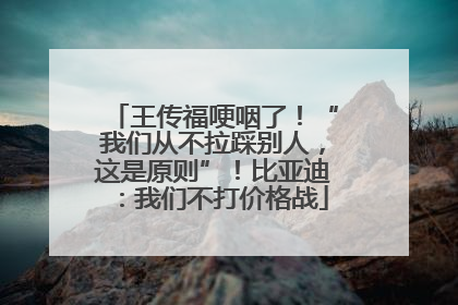 王传福哽咽了！“我们从不拉踩别人，这是原则”！比亚迪：我们不打价格战