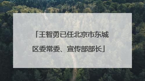 王智勇已任北京市东城区委常委、宣传部部长