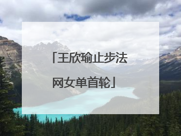 王欣瑜止步法网女单首轮