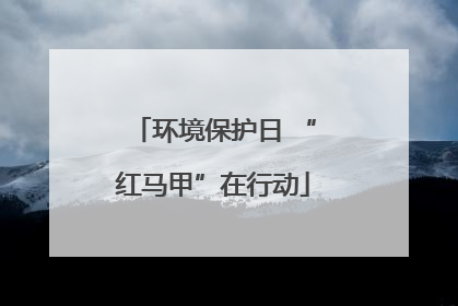 环境保护日 “红马甲”在行动