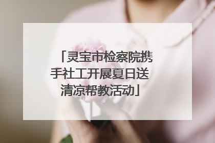 灵宝市检察院携手社工开展夏日送清凉帮教活动