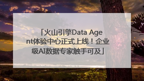 火山引擎Data Agent体验中心正式上线！企业级AI数据专家触手可及