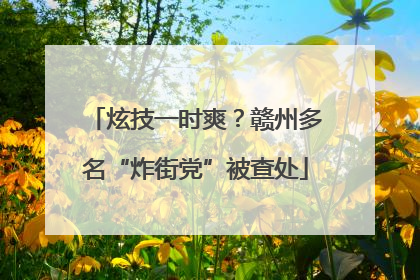 炫技一时爽？赣州多名“炸街党”被查处