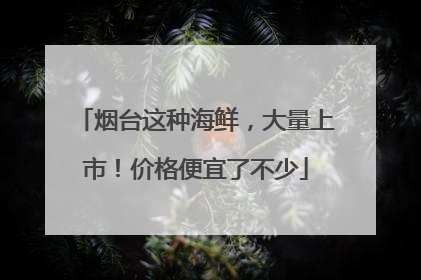 烟台这种海鲜，大量上市！价格便宜了不少