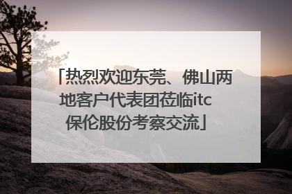 热烈欢迎东莞、佛山两地客户代表团莅临itc保伦股份考察交流