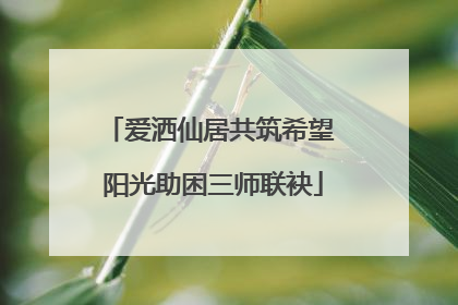 爱洒仙居共筑希望 阳光助困三师联袂