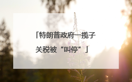 特朗普政府一揽子关税被“叫停”