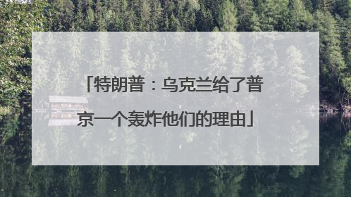 特朗普：乌克兰给了普京一个轰炸他们的理由