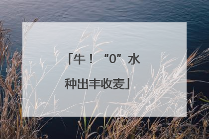 牛！“0”水种出丰收麦