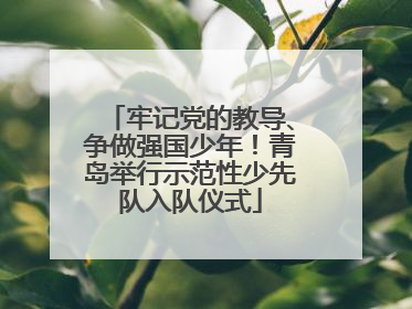 牢记党的教导、争做强国少年！青岛举行示范性少先队入队仪式