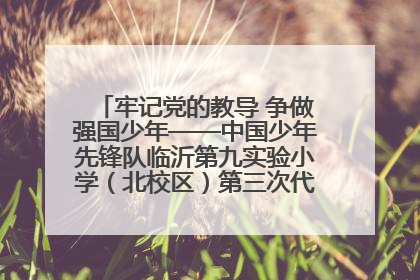 牢记党的教导 争做强国少年——中国少年先锋队临沂第九实验小学（北校区）第三次代表大会胜利召开