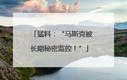 猛料：“马斯克被长期秘密监控！”