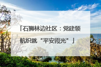 石狮林边社区：党建领航织就“平安霞光”