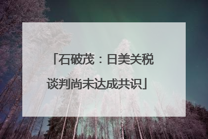 石破茂：日美关税谈判尚未达成共识