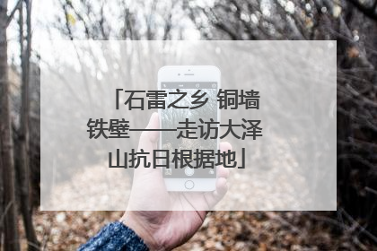 石雷之乡 铜墙铁壁——走访大泽山抗日根据地