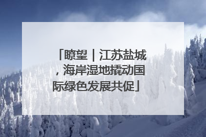 瞭望｜江苏盐城，海岸湿地撬动国际绿色发展共促