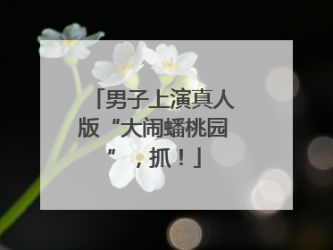 男子上演真人版“大闹蟠桃园”，抓！