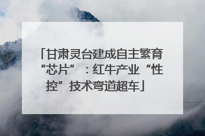 甘肃灵台建成自主繁育“芯片”：红牛产业“性控”技术弯道超车