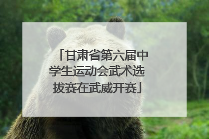 甘肃省第六届中学生运动会武术选拔赛在武威开赛