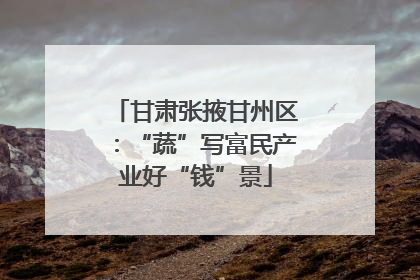 甘肃张掖甘州区：“蔬”写富民产业好“钱”景