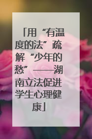 用“有温度的法”疏解“少年的愁”——湖南立法促进学生心理健康