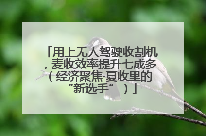 用上无人驾驶收割机，麦收效率提升七成多（经济聚焦·夏收里的“新选手”）