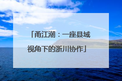 甬江潮：一座县域视角下的浙川协作