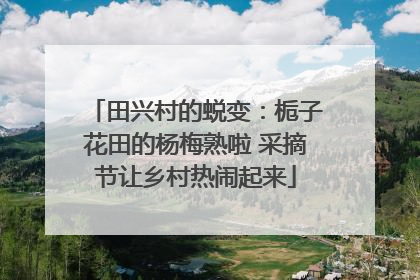 田兴村的蜕变：栀子花田的杨梅熟啦 采摘节让乡村热闹起来