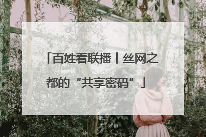 百姓看联播丨丝网之都的“共享密码”