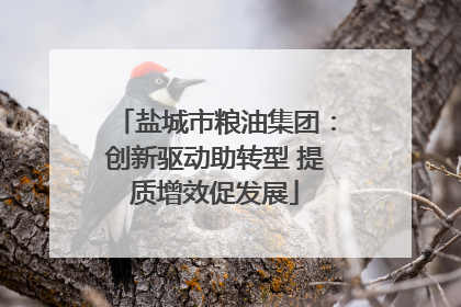 盐城市粮油集团：创新驱动助转型 提质增效促发展