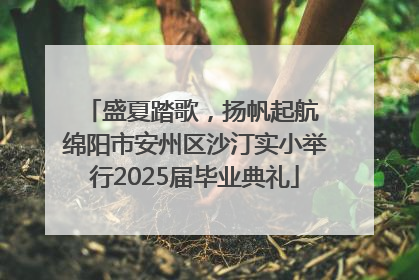 盛夏踏歌，扬帆起航 绵阳市安州区沙汀实小举行2025届毕业典礼