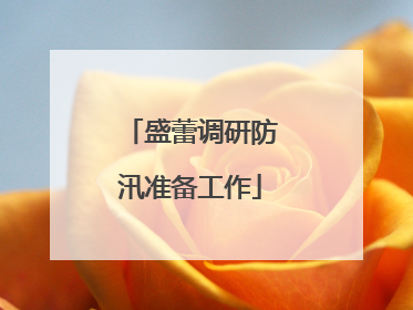 盛蕾调研防汛准备工作