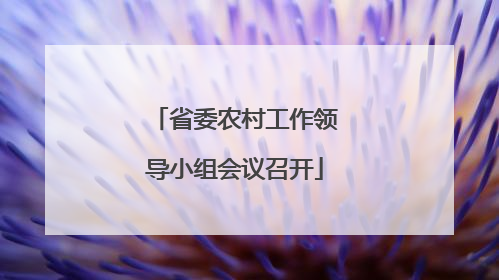 省委农村工作领导小组会议召开
