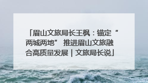 眉山文旅局长王枫：锚定“两城两地” 推进眉山文旅融合高质量发展｜文旅局长说