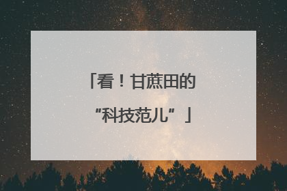 看！甘蔗田的“科技范儿”