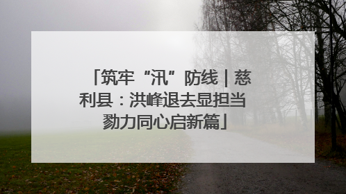 筑牢“汛”防线｜慈利县：洪峰退去显担当 勠力同心启新篇