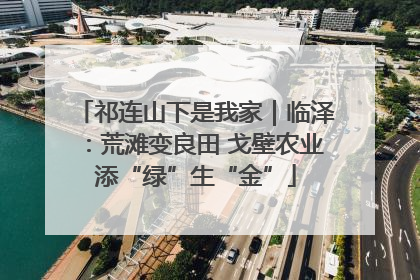 祁连山下是我家｜临泽：荒滩变良田 戈壁农业添“绿”生“金”