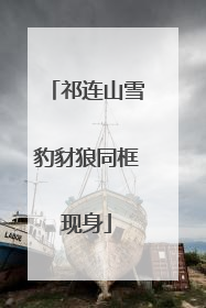 祁连山雪豹豺狼同框现身