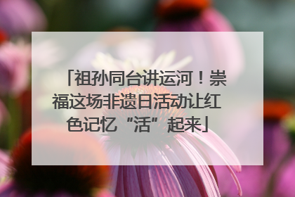 祖孙同台讲运河！崇福这场非遗日活动让红色记忆“活”起来