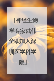 神经生物学专家陆伟全职加入深圳医学科学院