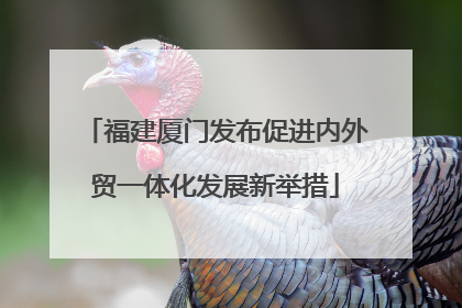 福建厦门发布促进内外贸一体化发展新举措