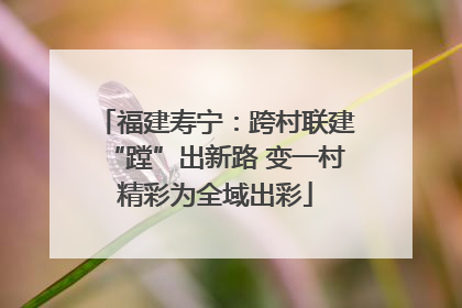 福建寿宁：跨村联建“蹚”出新路 变一村精彩为全域出彩